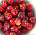 گیلاس باربادوس